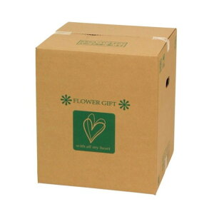 t[[{bNXMS { bsO  pbP[W AWBOX [XBOX [TDLGF028200] ϕs| t fBXvC {bNX  15 38cm 44cm