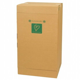 フラワーメールボックスXLL リボン ラッピング 包装資材 パッケージ アレンジBOX リースBOX [TDLGF028500] 代引決済不可|装飾 飾り付け ディスプレイ ボックス 箱 5枚 幅52cm 高さ98cm