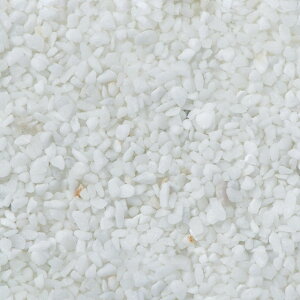 J[Th 37 zCg fR[V     [TDLGL000903-037] ϕsEK[fjOpi