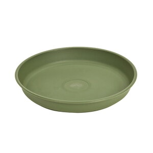 M6 24@O[ Ԋ x[X ԊivX`bNj vX`bN  [TDLGS008932-024] ϕs|  t Xܑ IuWF fR[V |bg ԕr 17D8×H2D9cm