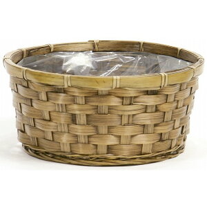 AeB[NX^Cou[oXPbg Ԋ  [TDLKA203206] ϕs|x[X i`f oXPbg  t[ Ԏ Ԃ AWgpi t[AWg 