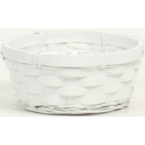 16D5×H7 zCgou[薳AWM 20Zbg Ԋ  [TDLKA266202] ϕs|x[X i`f oXPbg  t[ Ԏ Ԃ AWgpi t[A