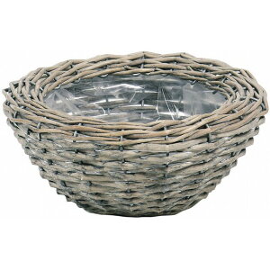 21×H10 O[EB[ˌ^S Ԋ oXPbg [TDLKA317009] ϕs| t[ Ԏ AWgpi t[AWg ԍ y CeA  Xܑ fB