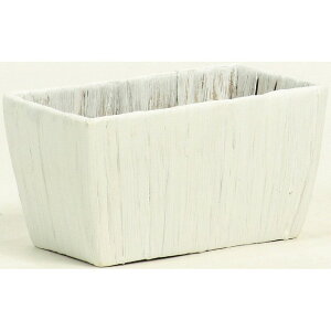 W14D5XD8D0XH8D0 qVXAWNg zCg 10 Ԋ  [TDLKA366004] ϕs|Jo[ x[X i`f  t[ Ԏ Ԃ AWgpi t[A