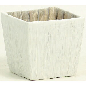 11D5XH10D5 qVXAWS zCg 10 Ԋ  [TDLKA366006] ϕs|Jo[ x[X i`f oXPbg  t[ Ԏ Ԃ AWgpi t