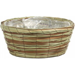 31×H12D5 OXoXPbg񂹔4pMX Ԋ  [TDLKA372206] ϕs|x[X i`f oXPbg   t[ Ԏ Ԃ AWgpi t[AW