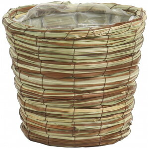 19×H17 OXoXPbg_5pMX Ԋ  [TDLKA37250D] ϕs|Jo[ x[X i`f oXPbg   t[ Ԏ Ԃ AWgpi t[AW