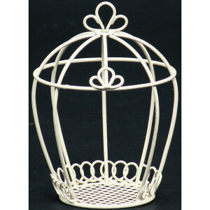 C[~jQ[Wh[^ W 10 Ԋ t[X^h IuWF x[X C[f C[x[X [TDLKA515458-00W] ϕs| t Xܑ CeA fBXvC 