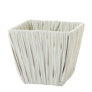 zCgVtXNGASS Ԋ x[X Ԋȋfށj ̑ [TDLKN023922] ϕs| t Xܑ CeA fBXvC  t[|bg 11D5XH10cm