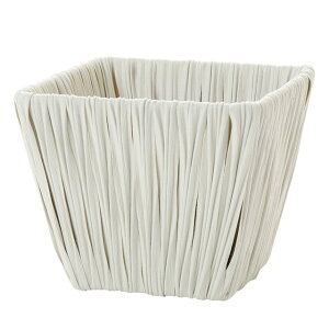 zCgVtXNGAS Ԋ x[X Ԋȋfށj ̑ [TDLKN023923] ϕs| t Xܑ CeA fBXvC  t[|bg 13D5XH11cm