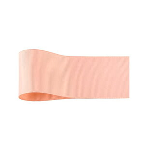 lIOO@19mm×45m 23 { bsO  { x[VbN [TDLRA001356-023] ϕs| bsOpi t[   t[AWg ԑ ԍ A