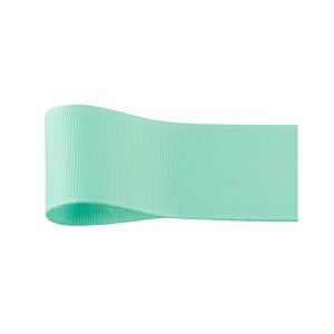 lIOO@19mm×45m 670 { bsO  { x[VbN [TDLRA001356-670] ϕs| bsOpi t[   t[AWg ԑ ԍ A