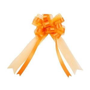 u[P{E@TeI[KW[@@32mmX25}C 43 { bsO  { [TDLRA002332-043] ϕs|bsOp { e[v R MtgbsOpi IW TCYF32m