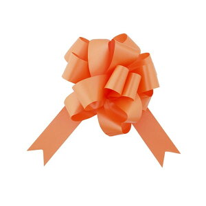 u[PTe||{E@@36X25}C 53 { bsO  { [TDLRA002470-053] ϕs|bsOp { e[v R MtgbsOpi IW TCYF w33mm×25