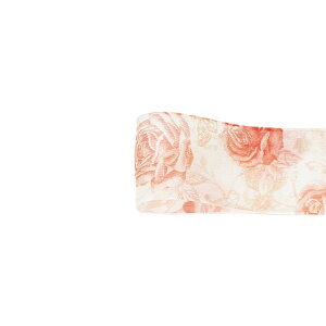 }C[Y@@40mm×10m 43 { bsO  { x[VbN [TDLRA003352-043] ϕs| bsOpi t[   t[AWg ԑ ԍ A