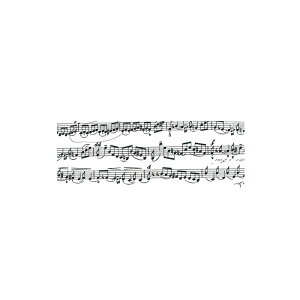 �g�X�J�[�i�X�^���_�[�h�y�[�p�[23 50cmX70cm 23 25������ ���{�� ����� ���b�s���O �s�D�z �y�[�p�[ [TDLRA007014-023] ������ϕs��|���� �M�t�g �v���[���g ���蕨 ��ݎ� ���