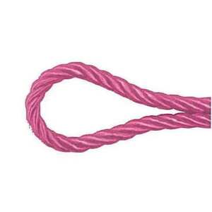 �y�C���g�R�[�h�@6mm 26 ���{�� ���b�s���O ����� �R�[�h �^�b�Z�� �R�[�h �R ���[�v [TDLRA009236-026] ������ϕs��|���� �l�H�ϗt�A������ ���b�s���O�p�i �t�����[���� � ���� �t�����[�A