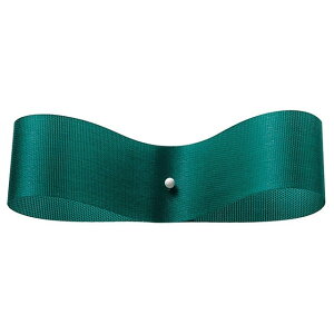 TeEX 33mmX92m 96@s[RbN { bsO  { x[VbN [TDLRT008700-096] ϕs| bsOpi t[  t[AWg ԑ ԍ A