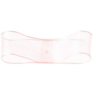 �G�b�W�h�I�[�K���W�[ W1.2cm×30m 6 ���{�� ���b�s���O ����� ���{�� �I�[�K���W�[ [TDLRT031600-006] ������ϕs��|���� �M�t�g �v���[���g ���蕨 ��ݎ� ��� �s���N