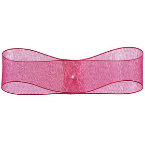 �G�b�W�h�I�[�K���W�[ W1.2cm×30m 20 ���{�� ���b�s���O ����� ���{�� �I�[�K���W�[ [TDLRT031600-020] ������ϕs��|���� �M�t�g �v���[���g ���蕨 ��ݎ� ��� ���b�h