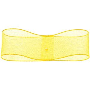 GbWhI[KW[ 2.5cmX30m 3 { bsO  { I[KW[ [TDLRT031700-003] ϕs| Mtg v[g 蕨 ݎ  IW