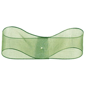 �G�b�W�h�I�[�K���W�[ W2.5cm×30m 29 ���{�� ���b�s���O ����� ���{�� �I�[�K���W�[ [TDLRT031700-029] ������ϕs��|���� �M�t�g �v���[���g ���蕨 ��ݎ� ��� �O���[��