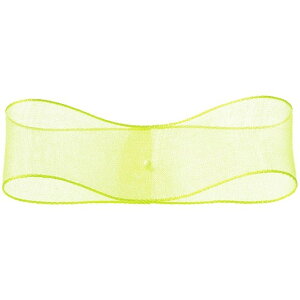 �G�b�W�h�I�[�K���W�[ W2.5cm×30m 65 ���{�� ���b�s���O ����� ���{�� �I�[�K���W�[ [TDLRT031700-065] ������ϕs��|���� �M�t�g �v���[���g ���蕨 ��ݎ� ��� �O���[��