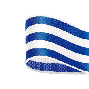 S�DU�D�V���K�[�X�g���C�v�@30mm 10�@�u���[ ���{�� ���b�s���O ����� ���{�� �`�F�b�N �X�g���C�v ������ [TDLRT037125-010] ������ϕs��|���b�s���O�p ���{�� �e�[�v �R �M�t�g���s���O�p�i 