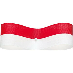 �U�������{���@��24X30M 1�@�A�J�^�V�� ���{�� ���b�s���O ����� ���{�� �`�F�b�N �X�g���C�v ������ [TDLRT048105-001] ������ϕs��|���b�s���O�p ���{�� �R �M�t�g���s���O�p�i �A�J/�V�� �T