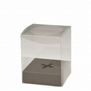 NBbNt[{bNXSS { bsO  pbP[W NAP[X RT[WP[X [TDLUK000280] ϕs| Mtg v[g 蕨 {bNX  NAP[X̃Zb