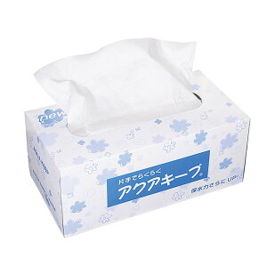 ANAL[viBOXj  Ԑp W22XL21cm [TDLWS00AQ02] ϕs|Ԑp t[ Ԏ AWgpi t[AWg  IWi AW  ޗ ԑ