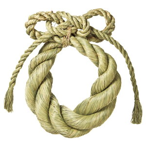 _ہY Ԋ x[X i`f ߓ [TDLXJ001178] ϕs|NNn    Xܑ t fBXvC 