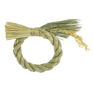 ۃ Ԋ x[X i`f ߓ [TDLXJ004620] ϕs|NNn    Xܑ t fBXvC  