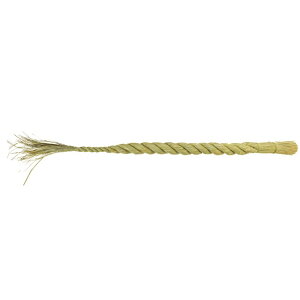 ߓ120 Ԋ x[X i`f ߓ [TDLXJ004690] ϕs|NNn    Xܑ t fBXvC 