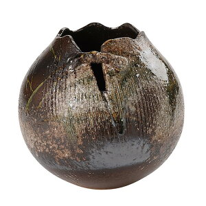 Dtԕr Ԋ x[X Ԋij  [TDLYK908709] ϕs|  t Xܑ IuWF fR[V |bg ԕr 9A20D5XH19cm 6D5