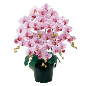 sAI[Lbh@@7{ 50@x_[ AWg iLbgEZbg܂ށj G}H [TDLZV006200-050] ϕs|lHt[  tFCN tFCNt[ sN  |b