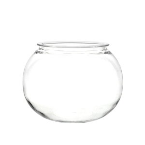 PC@pot@39×H30cm CLEAR Ԋ x[X vX`bN  [TDLCC952400-000]|  t Xܑ IuWF fR[V ԕr |bg NA