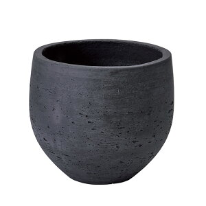 JbZI[u 20@_[NO[ Ԋ x[X  [TDLCF040306-020]|  t Xܑ IuWF fR[V |bg ԕr 14D5A18×H15cm O[