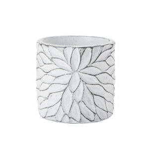 zCg؃^S Ԋ x[X Zg [TDLCX001500]| t Xܑ CeA fBXvC ԕr t[|bg 11×H11cm 