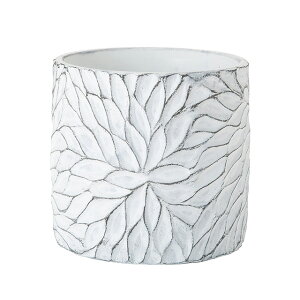 zCg؃^M Zg Ԋ x[X [TDLCX001501]| t Xܑ CeA fBXvC  t[|bg 14×H13D5cm