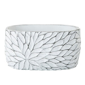 zCg؃^I[o Zg Ԋ x[X [TDLCX001503]| t Xܑ CeA fBXvC  t[|bg W20D5×D12D5×H10D5cm