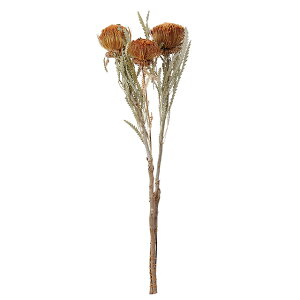 ��L45cm �h���A���h���E�h���C �i�`������ �h���C�t�����[ �t�����[ �i�`������ [TDLDE017768]|�V�R�f�� ���� �t�F�C�N�O���[�� ���� ���� ���t �f�R���[�V���� ���� �C�x���g �p�[�e�B�[ �t����