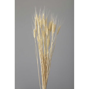 ���� �I�t�z���C�g �h���C�t�����[ �i�`�������f�� �t�����[ [TDLDO050082-011]|�V�R�f�� �A�[�g�t�����[ ���� �t�F�C�N�O���[�� ���� ���� ���t �f�R���[�V���� ���� �C�x���g �p�[�e�B�[ �t����