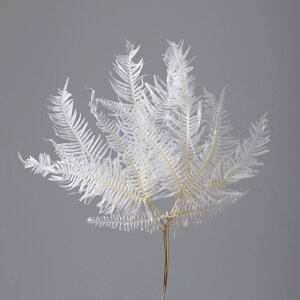 L45`50cm RV_E  hCt[ i`f t[ [TDLDO050293-011]|VRf  tFCNO[   t fR[V  Cxg p[eB[ t[A