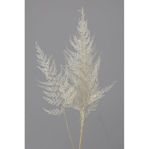 L30`40cm [Xt@[  hCt[ i`f t[ [TDLDO050350-011]|VRf  tFCNO[   t fR[V Cxg p[eB[ t[AW