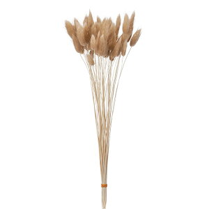 L40cm OX sNx[W hCt[ i` t[ [TDLDT073073]|VRf  t[ tFCNO[   fR[V Cxg p[eB[ t[AW