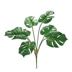 G}XeubV GREEN A[eBtBVt[  O[ [t A Xe [TDLFG001710]