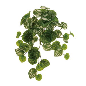 yy~AJy[^oC GREEN A[eBtBVt[  O[ [t A [TDLFG008707]