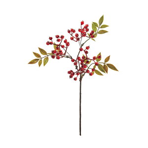 tV 3@@RED A[eBtBVt[   [TDLFJ001912-003]