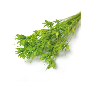 50cm jQ@hC CgO[ hCt[ i` t[ [TDLFLDR0025-770]|VRf A[gt[  tFCNO[   t fR[V Cxg p[eB